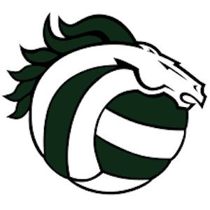 The official Twitter page of the Evergreen Park Community High School Volleyball Program. Go Mustangs!