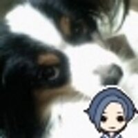 コン(@kon_ryu) 's Twitter Profile Photo