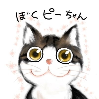 🌸ごまぴー(ピーちゃん)🐈💨🐾さんのプロフィール画像