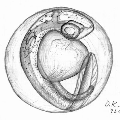 LecaudeyLab's profile picture. 