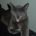 Aaron Emerson - @aaronemerson - Twitter