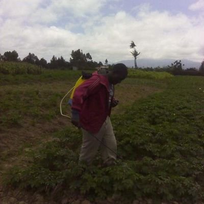 God fearing||entrepreneur||scholar||IT consultant||Photographer||Travel and tour agent||@GGMU