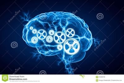 Ruy58282578's profile picture. 