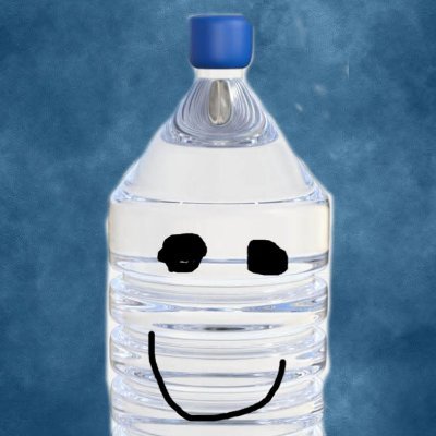 just a gay little water bottle (name started as a bit, decided to keep it lol)