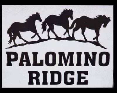 Palomino Ridge Ranch Horse Rescue & Sanctuary