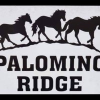 Palomino Ridge Ranch Horse Rescue & Sanctuary(@PRRHorseRescue) 's Twitter Profile Photo