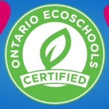 A team of dedicated and passionate Eco friends helping out every day and leading by example! Sharing Eco related news and happenings locally and globally.