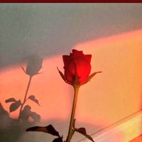 خطابه لوجه الله لاهل جده ومكه والطايف (@x88bb) Twitter profile photo