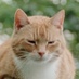 Eric Leblond (@regiteric) Twitter profile photo