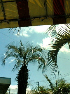 lovebeautifula3
