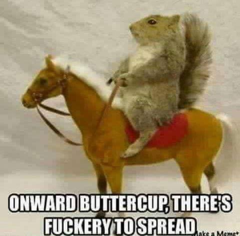 quakefromthede1's profile picture. Actor, writer, musician, geology enthusiast, they/them. Pan and polyam. About as much of an 80s kid as possible, being born in 1980.