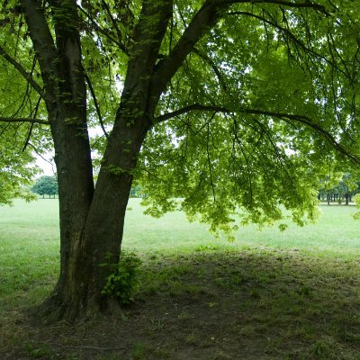 CelluleED's profile picture. 