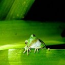 Virginia Meadows♡ - @vagatel - Twitter