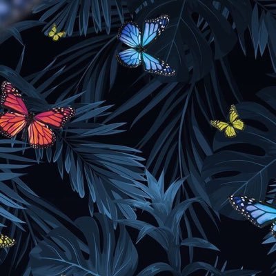 Gi33063181's profile picture. Student of Orthotics and Prosthetics