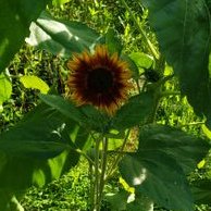 Beth Fischer (@bethfischer1226) 's Twitter Profile