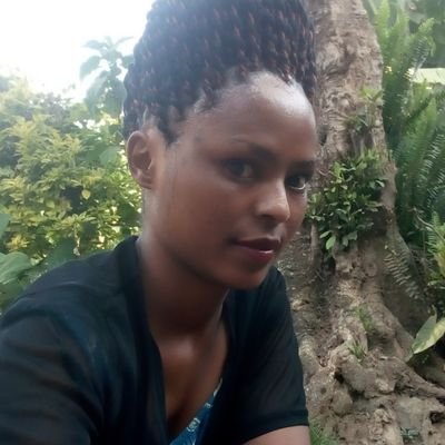 Beatrace4's profile picture. 