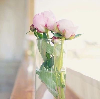 zain789zain789's profile picture. 