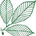 Court Farm Garden Centre (@courtfarmgarden) Twitter profile photo Court Farm Garden Centre (@courtfarmgarden) Twitter profile photo