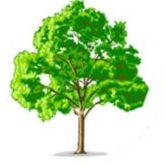 Bedgrove Junior Year 6 Official Twitter Account