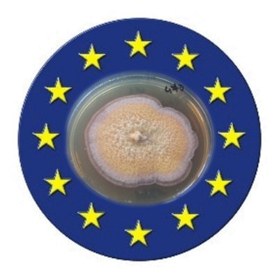 European Union Reference Laboratory (EURL) for fungi and oomycetes - ANSES, Plant Health Laboratory, Mycology Unit
#EURL #fungiandoomycetes @Anses_fr