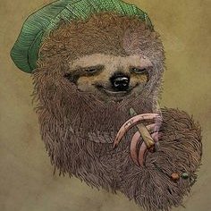 SlothSan404's profile picture. 
