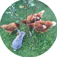 U (@babyboybunny) 's Twitter Profile Photo U (@babyboybunny) 's Twitter Profile Photo