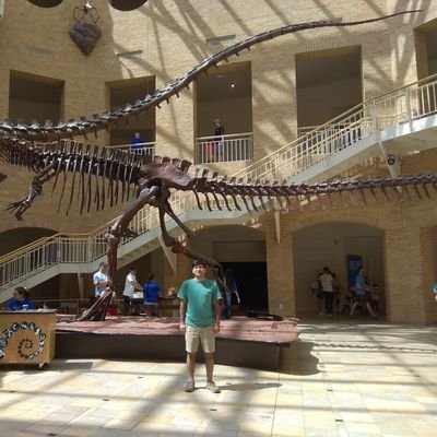 Software Developer, trying to understand the melody of Java in the symphony of programming, and application development.