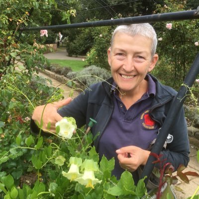 Allotmenteer, gardener and Bloomer. Interested in environment issues, wild life, recycling, litter, and anything else that comes along to tantalise.