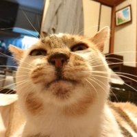 yousukezan (@yousukezan) 's Twitter Profile Photo yousukezan (@yousukezan) 's Twitter Profile Photo