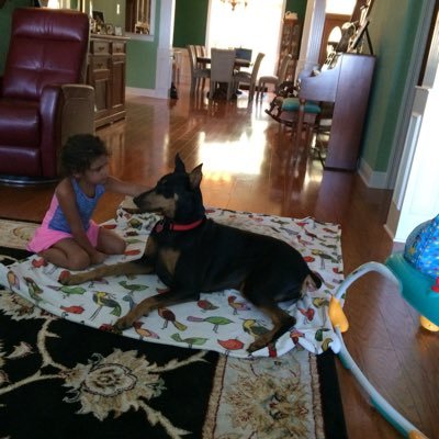 Floyd108879821's profile picture. 
