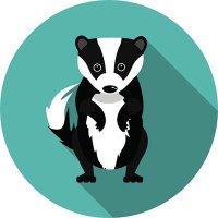 Badgers @ Burton Green Primary School(@BG_Badgers) 's Twitter Profile Photo