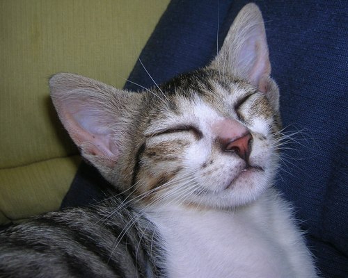 CMSeidel's profile picture. 