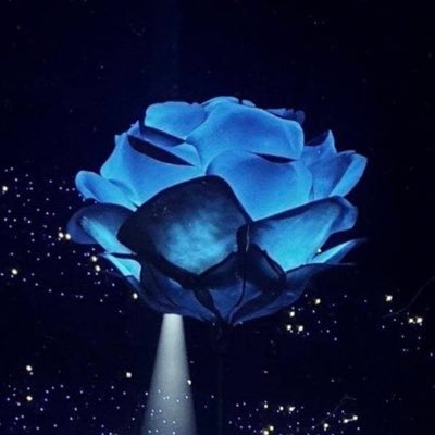 isabellab908's profile picture. 