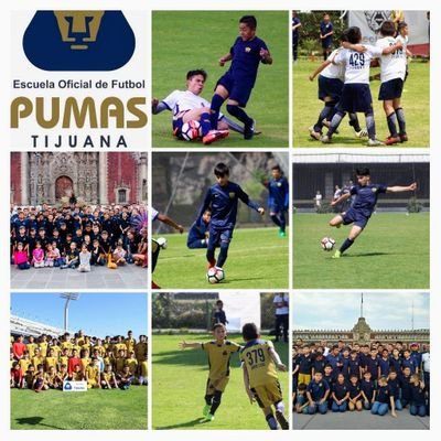 La primera escuela oficial de Pumas en Baja California.
Formacion integral, con la metolodogia de la mejor cantera del pais.
Compromiso, pasión y entrega