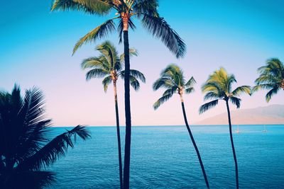 goingplacesfam1's profile picture. Travel and adventures with kids