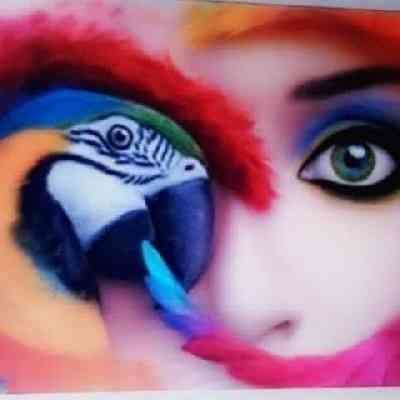Shliilh's profile picture. ‏‏منصةشليلة 
التكامل
https://t.co/04pSHWRrTd