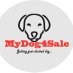 mydog4sale (@mydog4sale1) Twitter profile photo mydog4sale (@mydog4sale1) Twitter profile photo