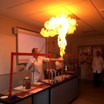 lynnhodgson24's profile picture. 