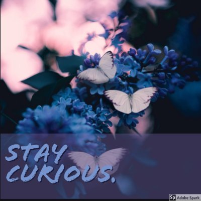 rangerdanger101's profile picture. 