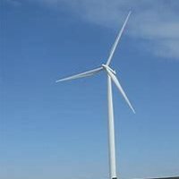 Windy (@carol31743943) 's Twitter Profile