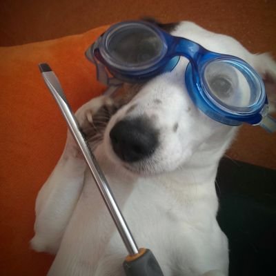 cocolastic0tt's profile picture. 