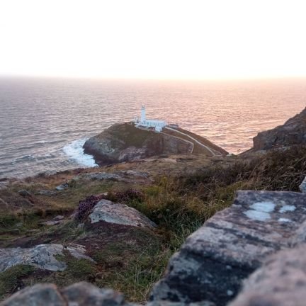 IoanSmith's profile picture. 