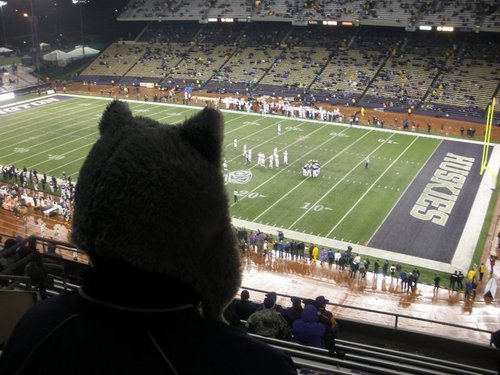 soohoh's profile picture. 