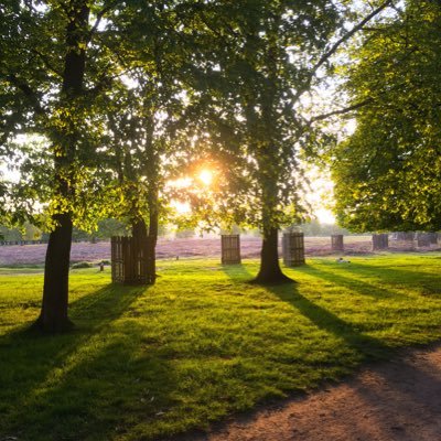 BESharp1's profile picture. 