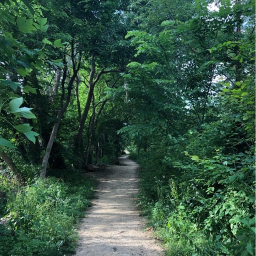 claravangerven's profile picture. Overthinking it, 140 characters at a time.