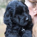 Josh Lieberman - @JoshLieberman6 - Twitter