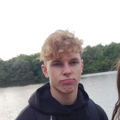 Lauris16630866's profile picture. 