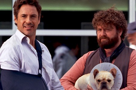 greattgal's profile picture. haha he thinks hes a human hes so stupid.