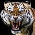- CriTig - (@critig1) Twitter profile photo - CriTig - (@critig1) Twitter profile photo