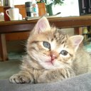 Michel King - @premiumreds - Twitter